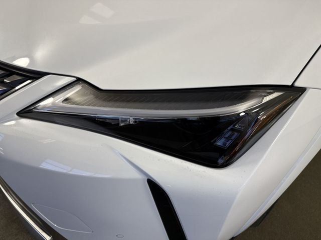 2026 Lexus UX 300h PREMIUM AWD