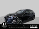 2025 Lexus UX UX 300h F SPORT Design