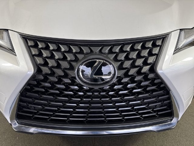 2025 Lexus UX UX 300h