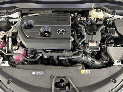 2025 Lexus UX UX 300h
