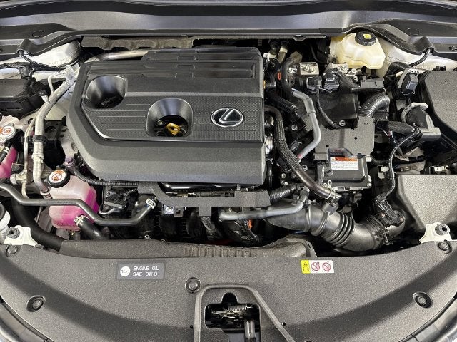 2025 Lexus UX UX 300h