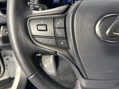 2025 Lexus UX UX 300h