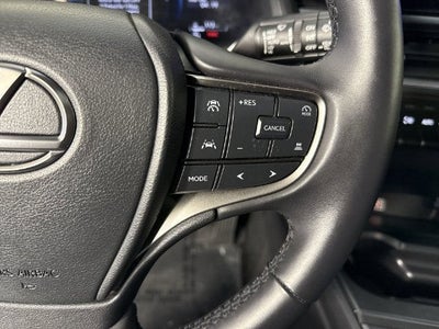 2025 Lexus UX UX 300h