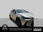 2024 Lexus NX NX 350h