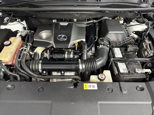 2019 Lexus NX 300 F Sport