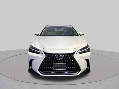 2024 Lexus NX NX 350 Premium