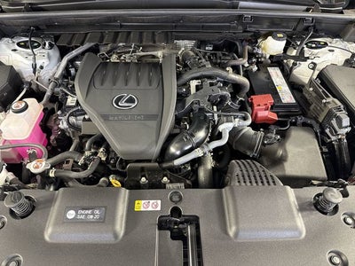2024 Lexus NX NX 350 Premium