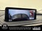 2022 Lexus RX 350L RX 350L