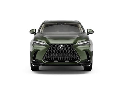2026 Lexus NX 350h LUXURY AWD
