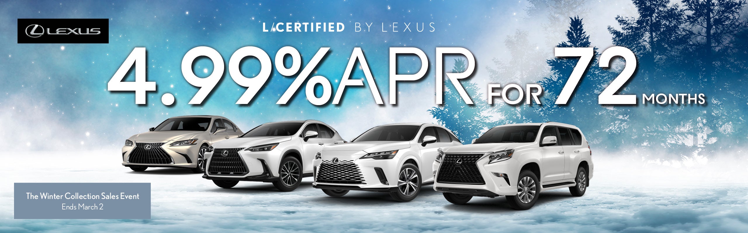 Winter Collection Sales Event