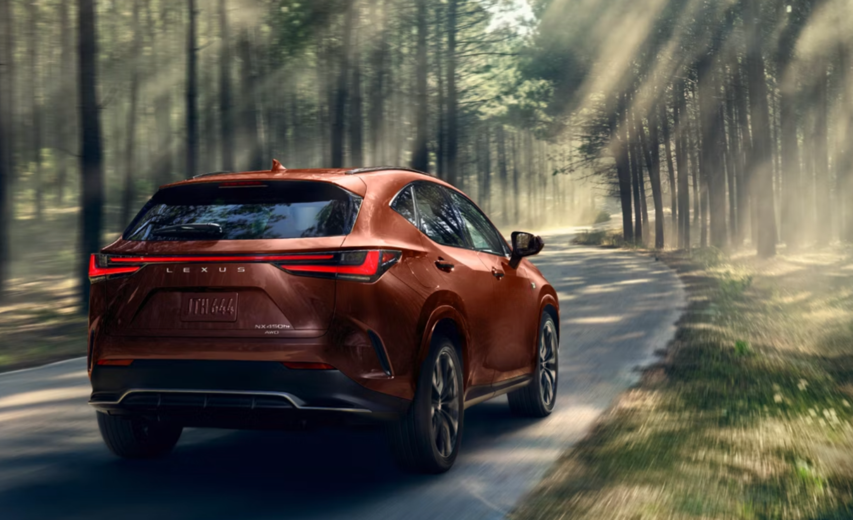 rear view of a new Lexus NX crusing through the forest